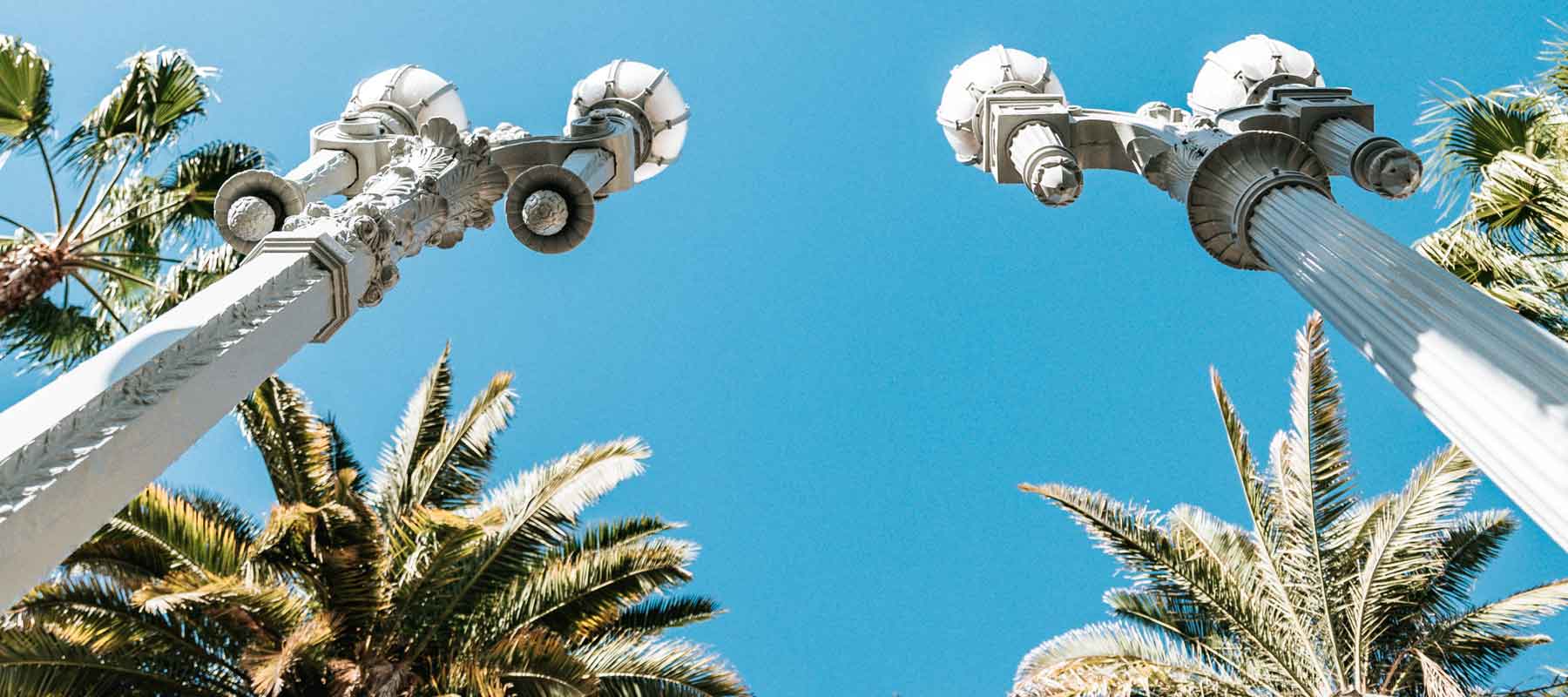 a worms eye view looking up at street lights and palm trees